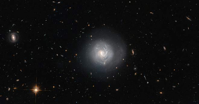 7910017d.jpg